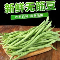 无筋四季豆大量上市，全国发货，欢迎进店沟通。