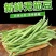 无筋四季豆大量上市，全国发货，欢迎进店沟通。