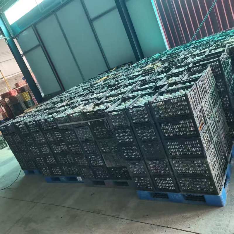 【实力厂家】山东滕州流油咸鸭蛋味道纯正流量大从优
