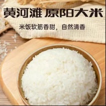 【原阳大米】原阳黄河滩黄金晴大米清香扑鼻软糯香甜产地直发