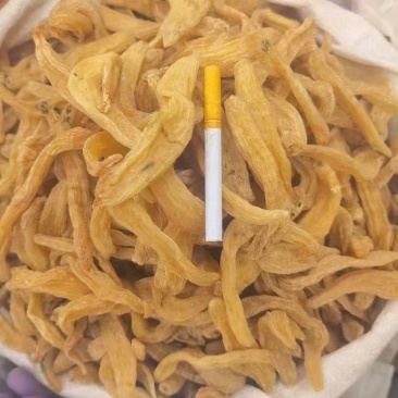 小天麻统装500g产地山东振兴药材购销站量大从