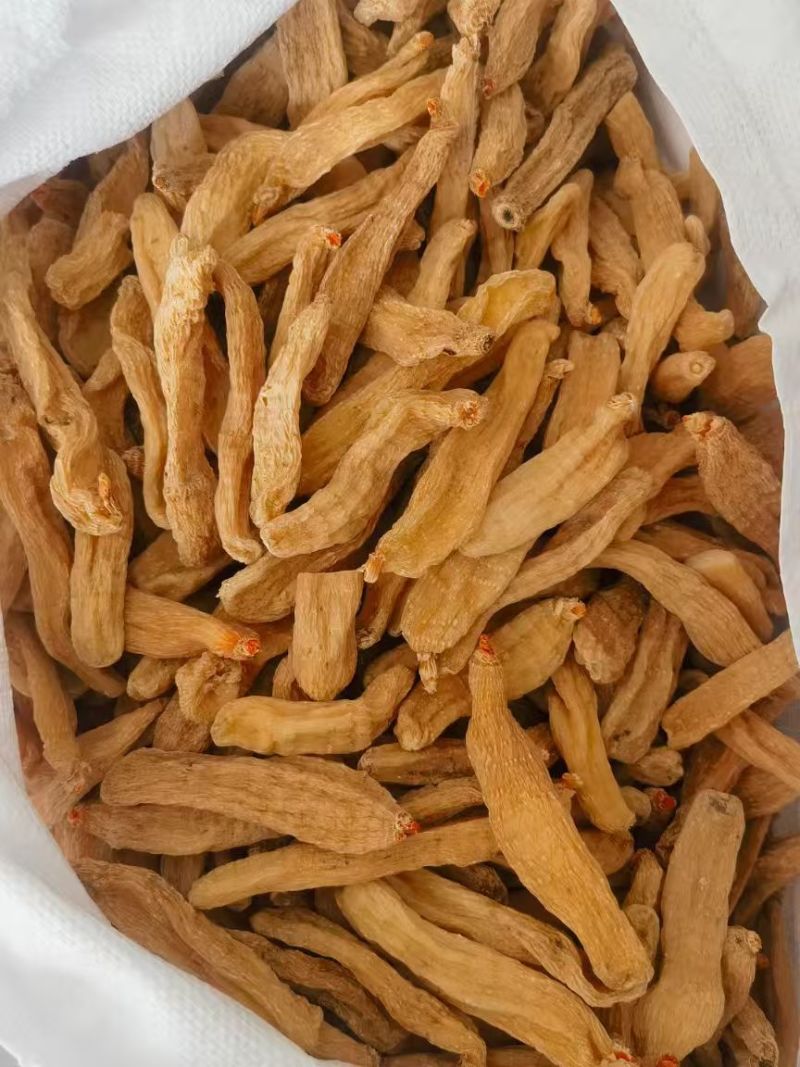 小天麻统装500g产地山东振兴药材购销站量大从