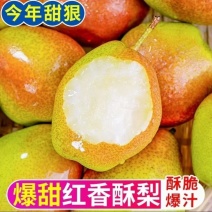 《红香酥梨》山西基地直发对接商超团购电商一条龙