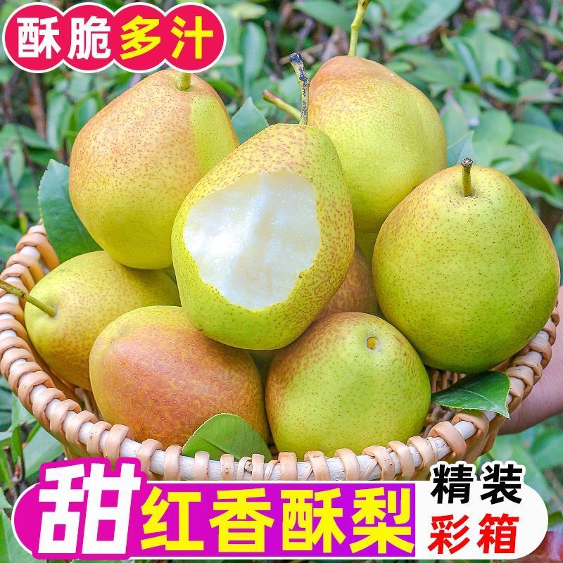 《红香酥梨》山西基地直发对接商超团购电商一条龙