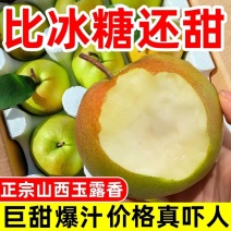 《玉露香梨》山西基地直发对接商超团购电商一条龙服务
