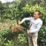 正宗柚子苗，红心三红苗南北方种植盆栽地栽当年结果