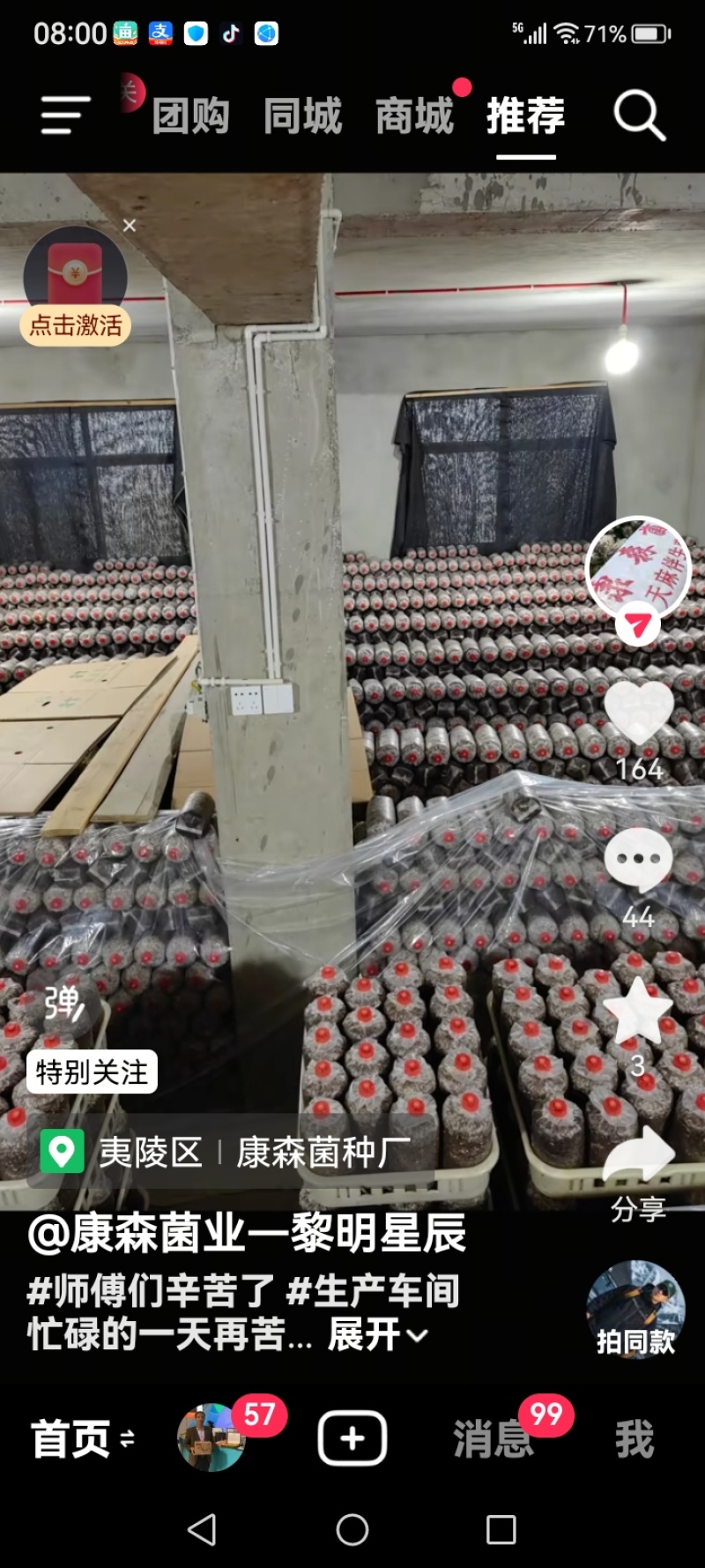 厂家直销密环菌种快速出菌丝黄豆菌可种花粉