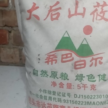 内蒙古大后山莜面