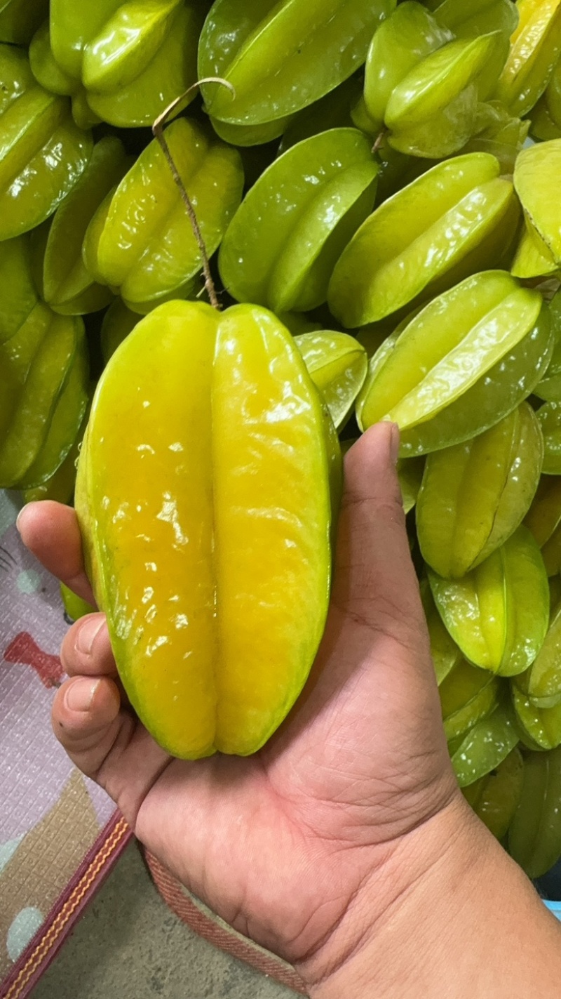 精美杨桃，礼盒，支持定制包装