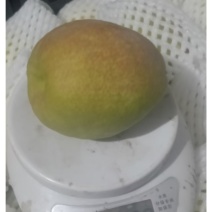 库尔勒香梨/