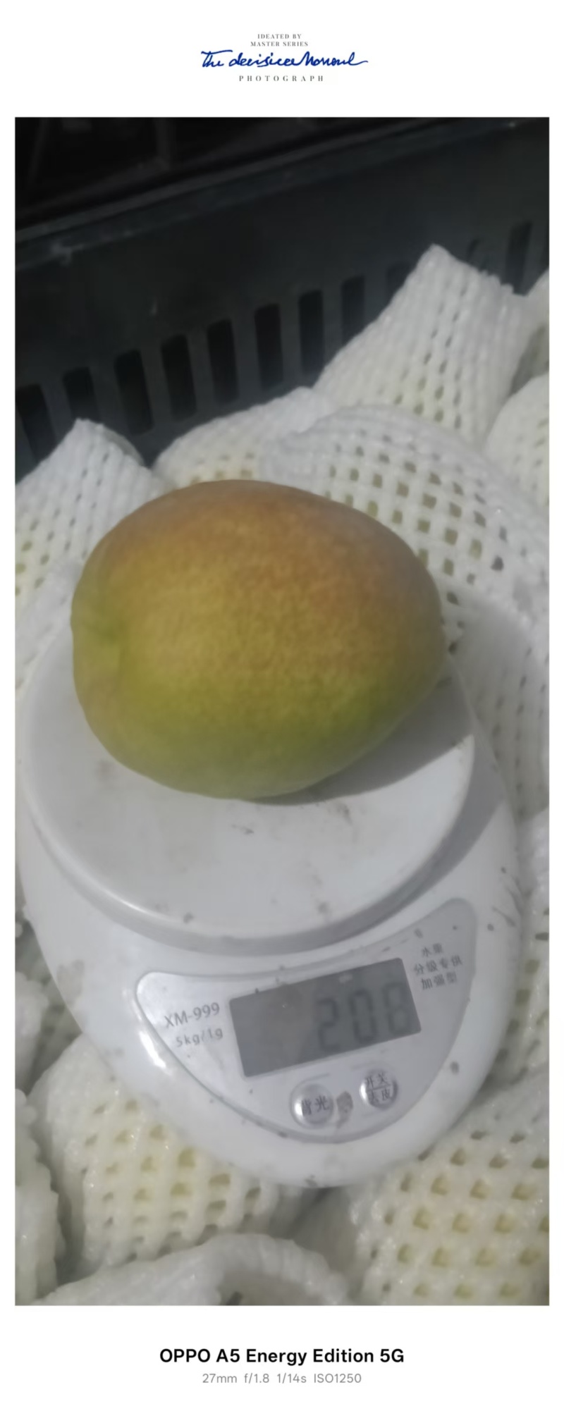 库尔勒香梨/