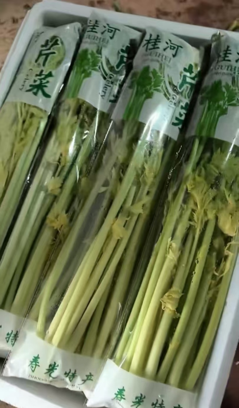 桂河芹菜寿光特产商超**菜品质保证