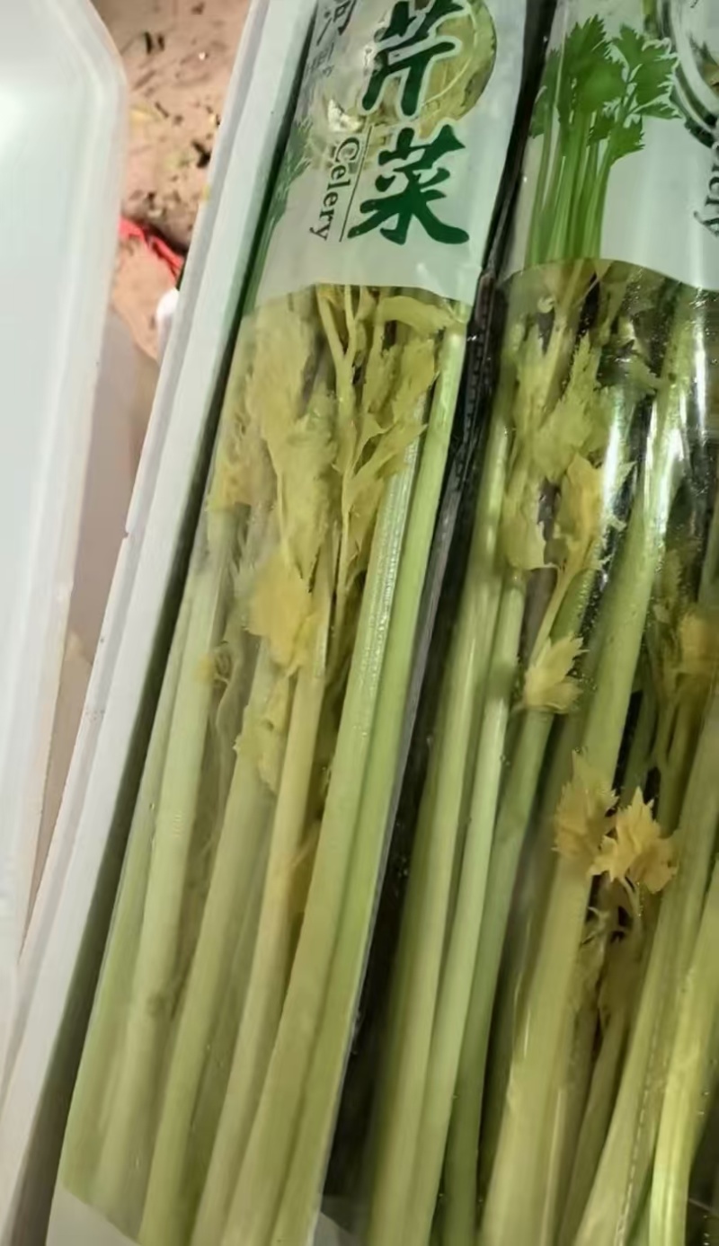 桂河芹菜寿光特产商超**菜品质保证