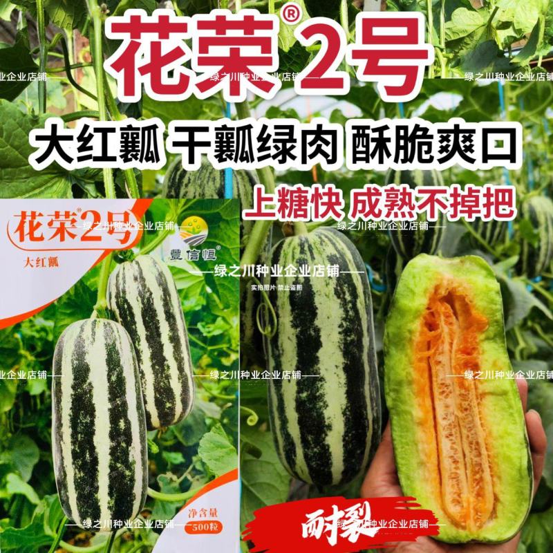 丰信恒农业花荣2号甜瓜种籽大红瓤酥脆耐裂绿肉博洋类型甜瓜