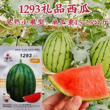 鼎优1293礼品西瓜早熟手剥皮西瓜大红肉耐热耐水晶