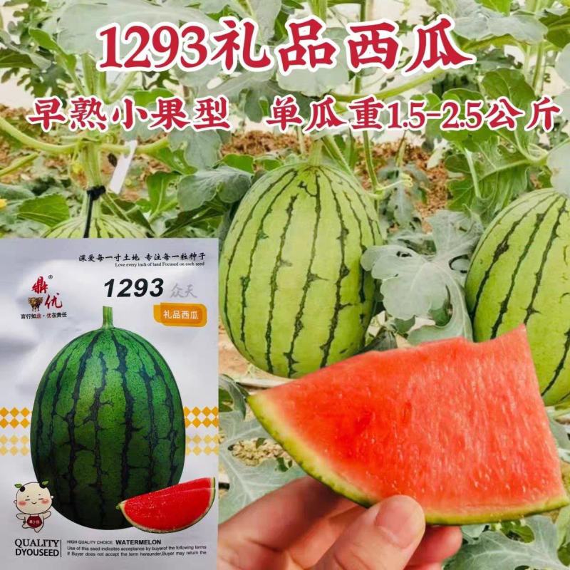 鼎优1293礼品西瓜早熟手剥皮西瓜大红肉耐热耐水晶