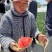 鼎优1293礼品西瓜早熟手剥皮西瓜大红肉耐热耐水晶