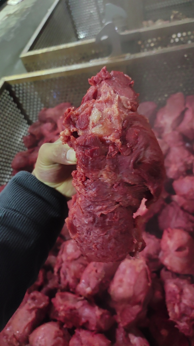 五香牛肉味后建，长建，