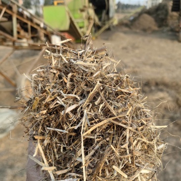 花生秧牛羊草料花生秧秸秆一手货源批发花生秧草料
