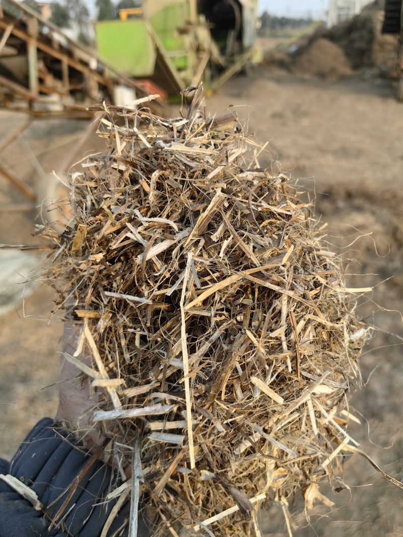 花生秧牛羊草料花生秧秸秆一手货源批发花生秧草料