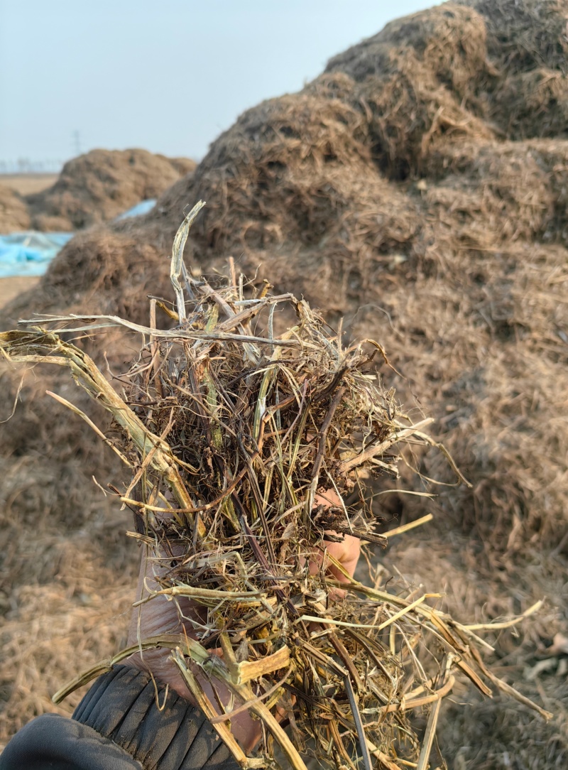 花生秧牛羊草料花生秧秸秆一手货源批发花生秧草料