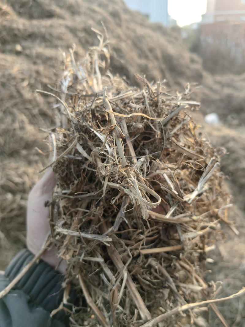 花生秧牛羊草料花生秧秸秆一手货源批发花生秧草料