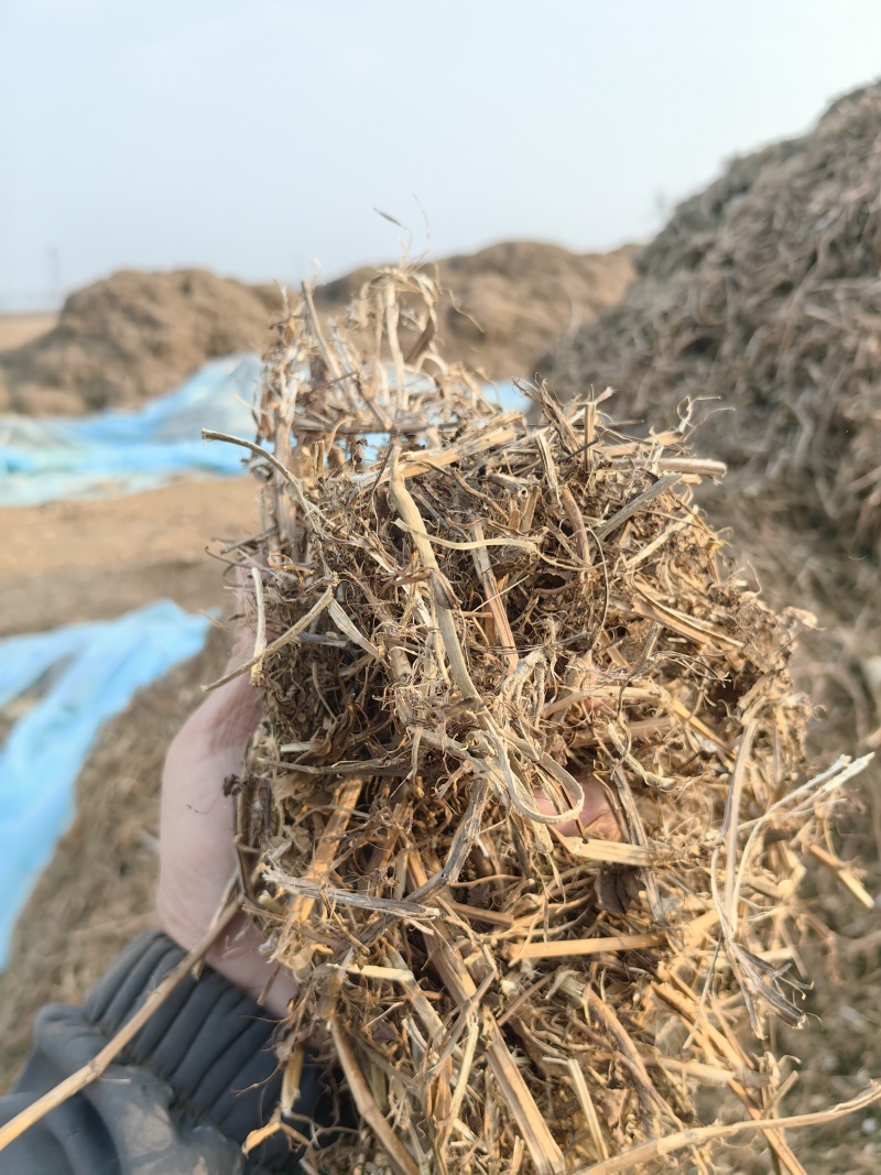 花生秧牛羊草料花生秧秸秆一手货源批发花生秧草料
