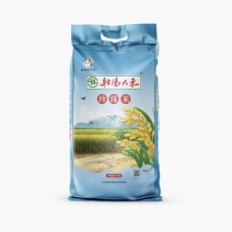 射阳大米珍珠米