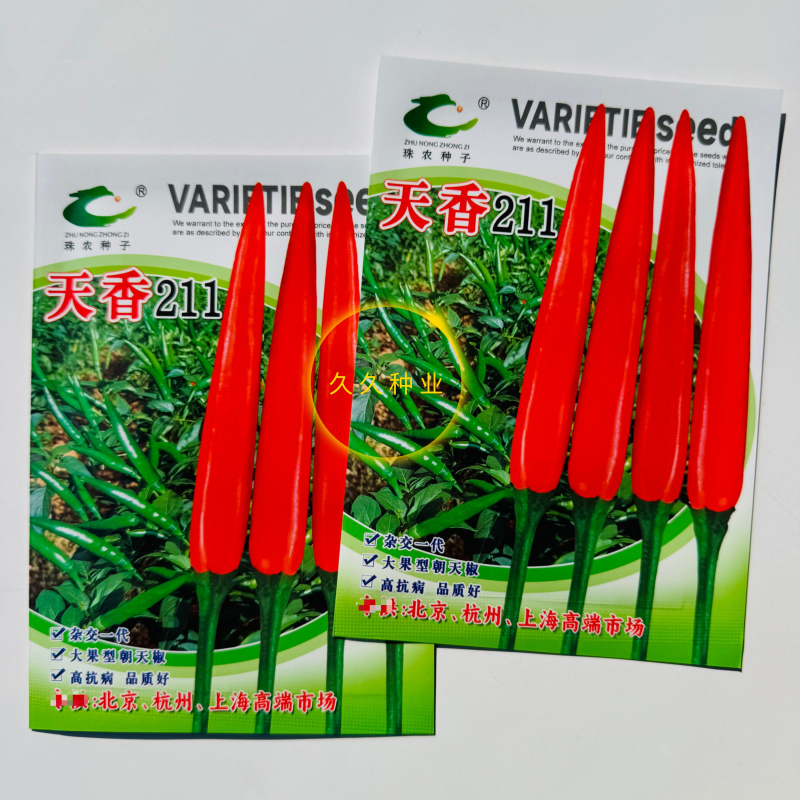 天香211大果朝天椒种子中早熟色泽亮丽口感香辣抗病性强