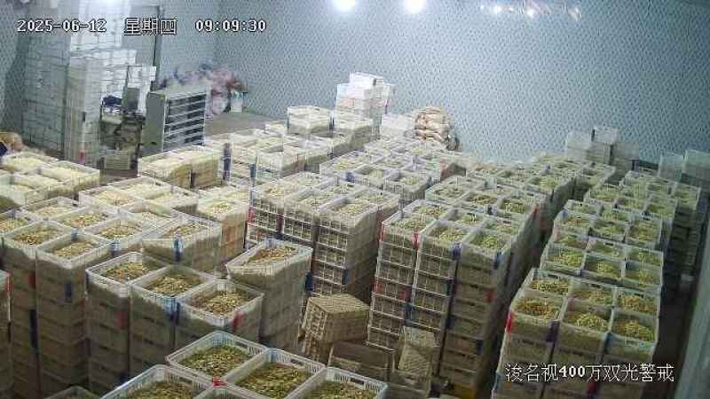 优质蒜米，工厂蒜米，市场蒜米，腊八蒜米，速冻蒜米品种齐全
