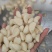 优质蒜米，工厂蒜米，市场蒜米，腊八蒜米，速冻蒜米品种齐全