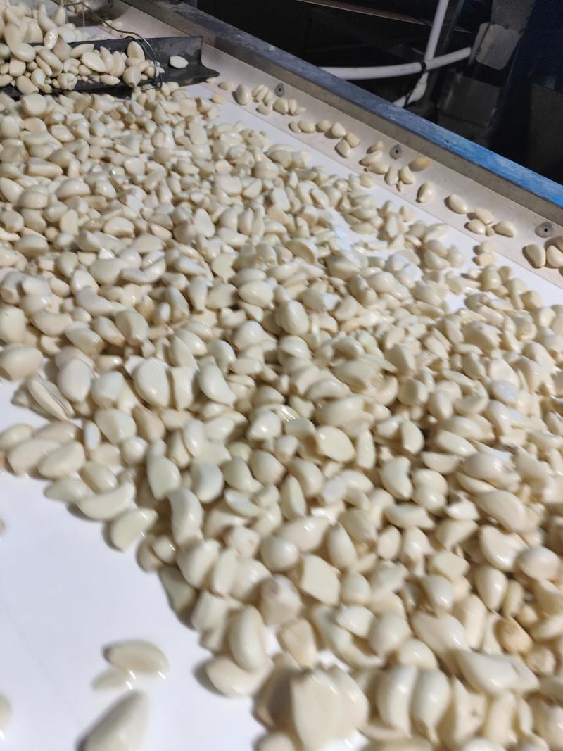 优质蒜米，工厂蒜米，市场蒜米，腊八蒜米，速冻蒜米品种齐全