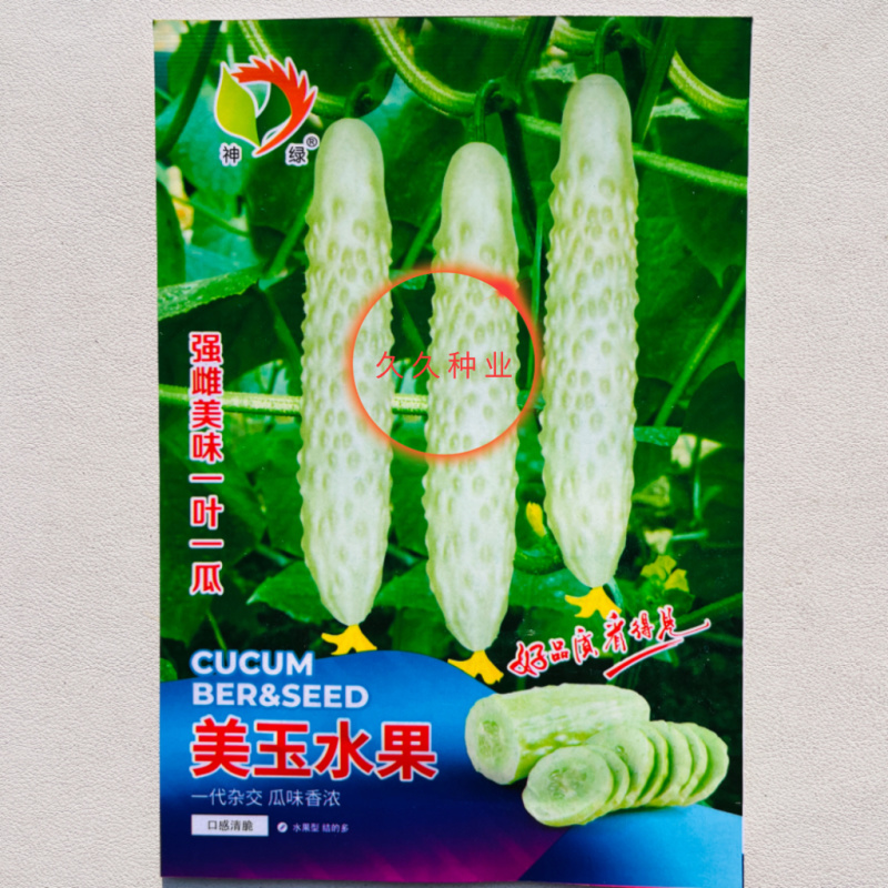 美玉水果黄瓜种子小青瓜种子可腌制瓜果早熟高产清脆爽口