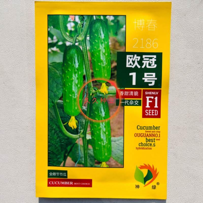 欧冠1号F1黄瓜种子高产早熟香脆全雌节节瓜家庭园艺阳台种