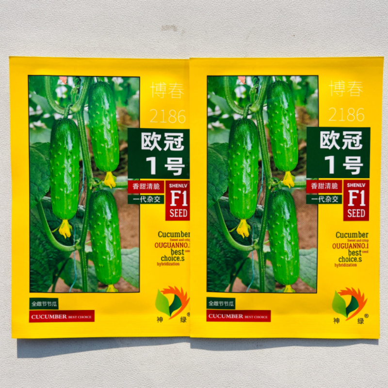 欧冠1号F1黄瓜种子高产早熟香脆全雌节节瓜家庭园艺阳台种
