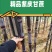 广西现货黑皮紫皮甘蔗产地直发一件代发市场批发