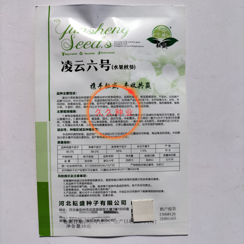 凌云六号水果黄秋葵种子苗绿羊角菜蔬菜种籽不易变老