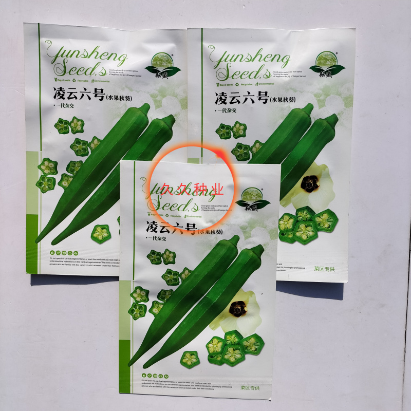凌云六号水果黄秋葵种子苗绿羊角菜蔬菜种籽不易变老