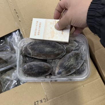 墨鱼/目鱼船冻小盒装一盒8两