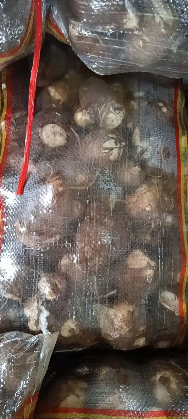 芋头山东沂蒙上优质毛芋头上市中，欢迎大家来选购