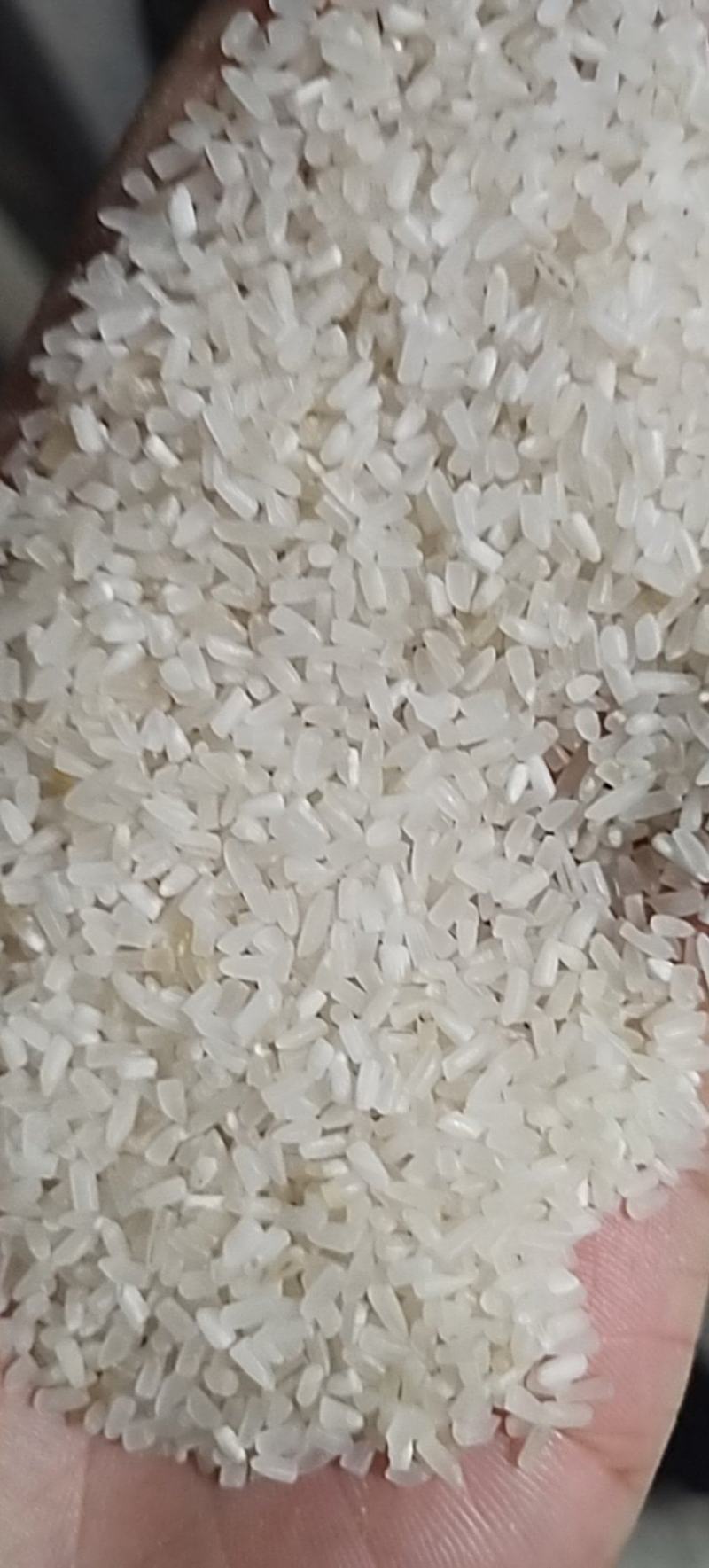 大量碎米上市，厂家直销，品质保证