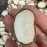 吉林鹿乡花鹿排血粉片足干白粉打粉煲汤炖菜
