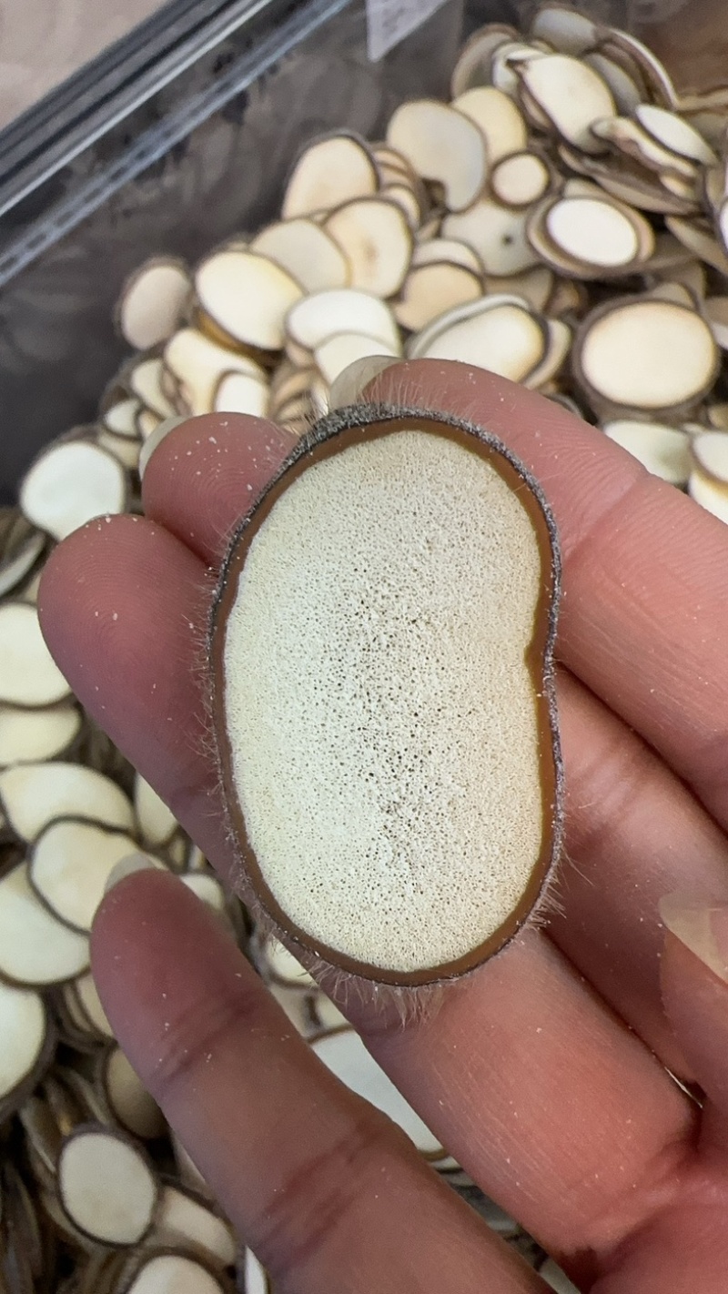 吉林鹿乡花鹿排血粉片足干白粉打粉煲汤炖菜