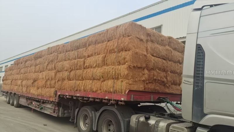 厂家批发进口椰糠椰丝进口椰壳基质栽培基质出口菲律宾