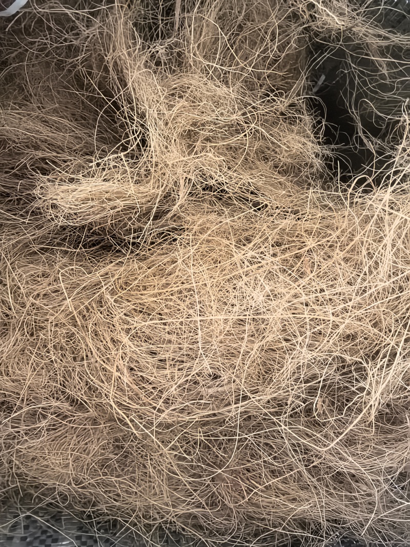 厂家批发进口椰糠椰丝进口椰壳基质栽培基质出口菲律宾
