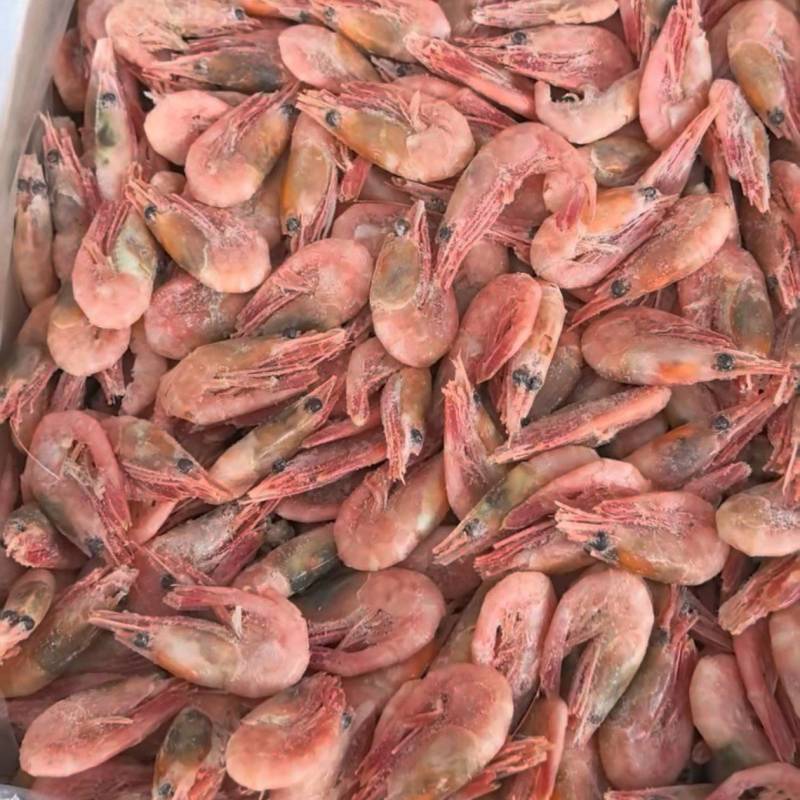 新到90/120轻微北极虾，10斤，**便宜，电商平