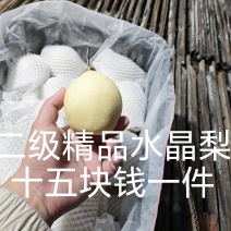 新开洞水晶梨二级果，十几元超低价上车，速来抢购，手慢无