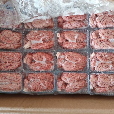盒装脑花