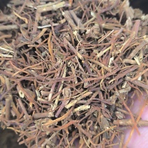 龙胆草药材批发各种规格龙胆草质量保证量大从优