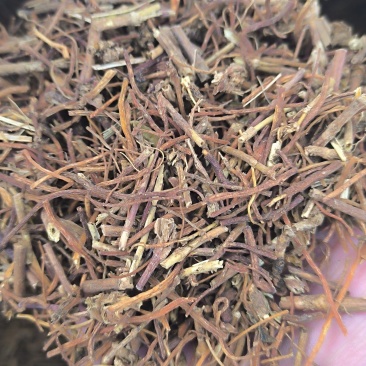 龙胆草药材批发各种规格龙胆草质量保证量大从优
